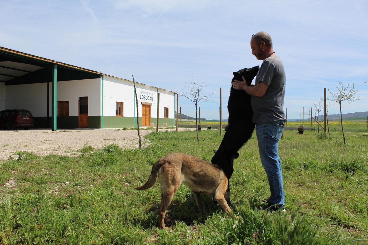Vista exterior del Centro Canino Lobocan en Dueñas, Palencia